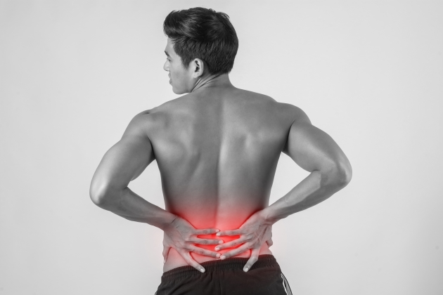 what is back pain?